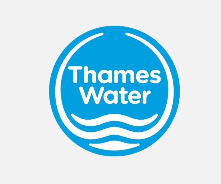 Sustainability and Resilience in the Plan of Thames Water Utility Limited: Water Resources Management Plan 2019 – Case C, UK